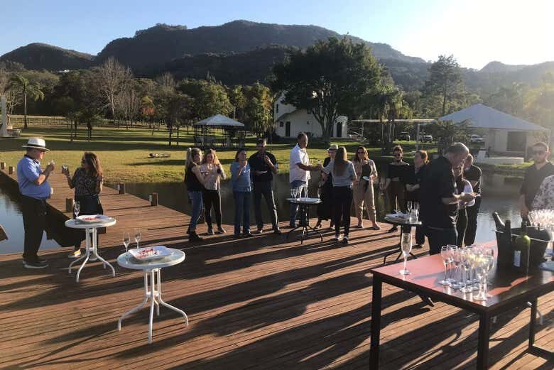 Tour e Degustação na Vinícola Domus Mea: Um Happy Hour Inesquecível!