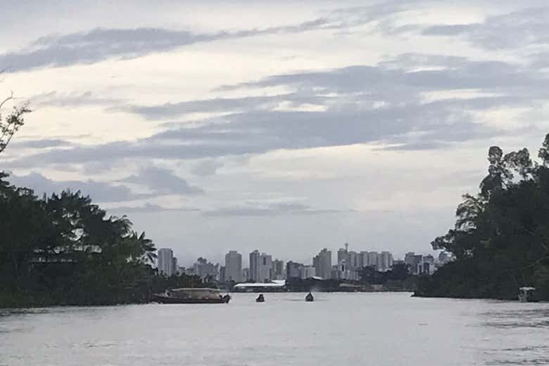 Passeio de Barco pela Ilha do Combú: Natureza e Chocolate Amazônico!