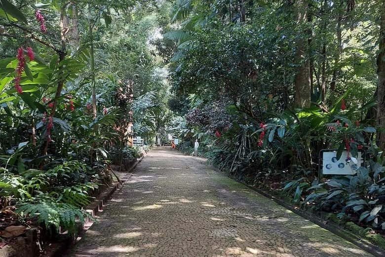 Parques Amazônicos de Belém: Fauna e Flora no Coração da Cidade!