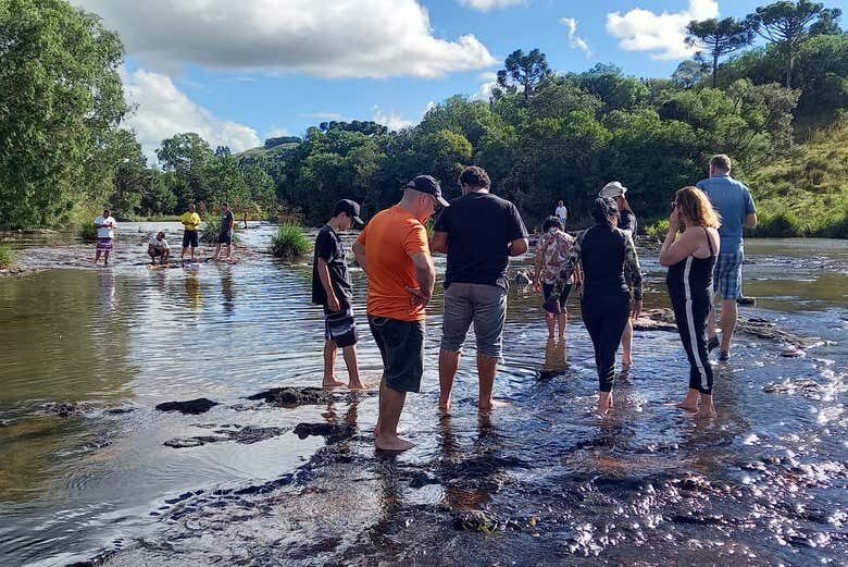 Trilha Noturna e Jantar Típico nos Encantadores Campos de Criúva!