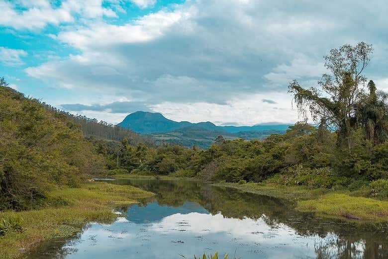 Tour Rural por Mampituba: Histórias, Sabores e Tradições!
