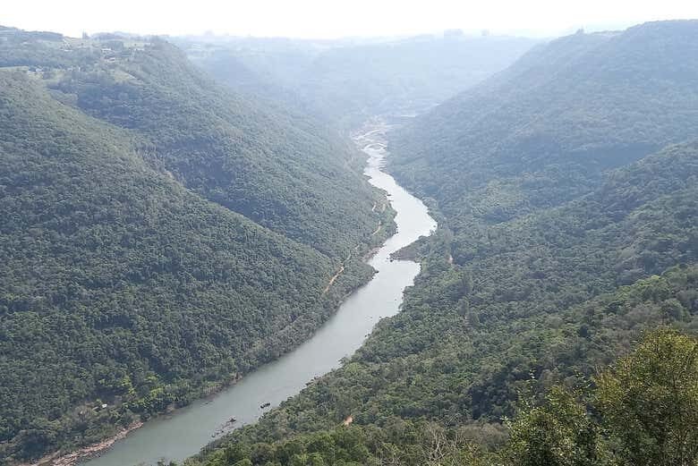 Tour do Vinho por Caxias do Sul e Flores da Cunha!