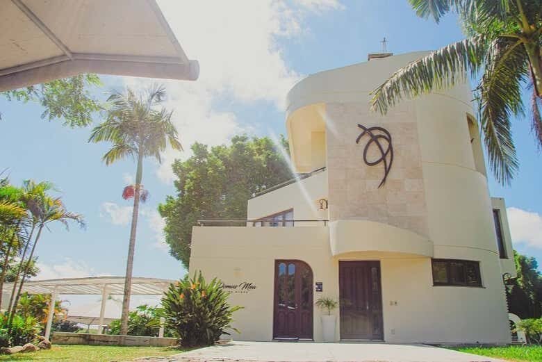 Tour e Degustação na Vinícola Domus Mea: Um Happy Hour Inesquecível!