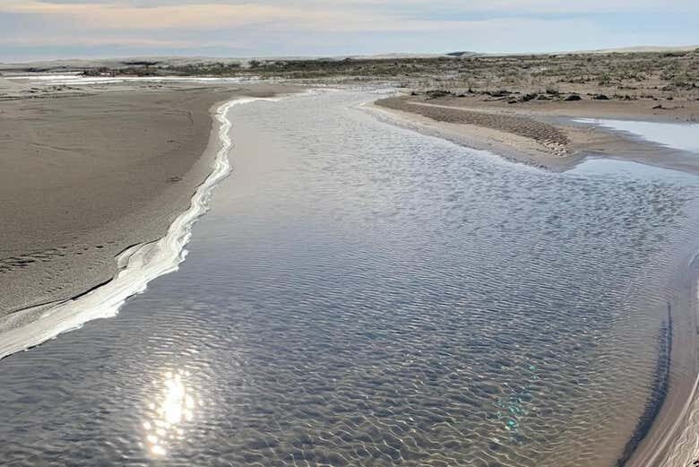 Trilha pelo Parque das Dunas de Tramandaí: natureza e vento no rosto!