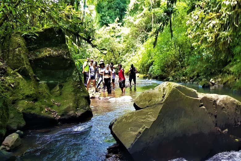 Trilha do Gavião: Aventura e Cachoeira em Três Coroas!