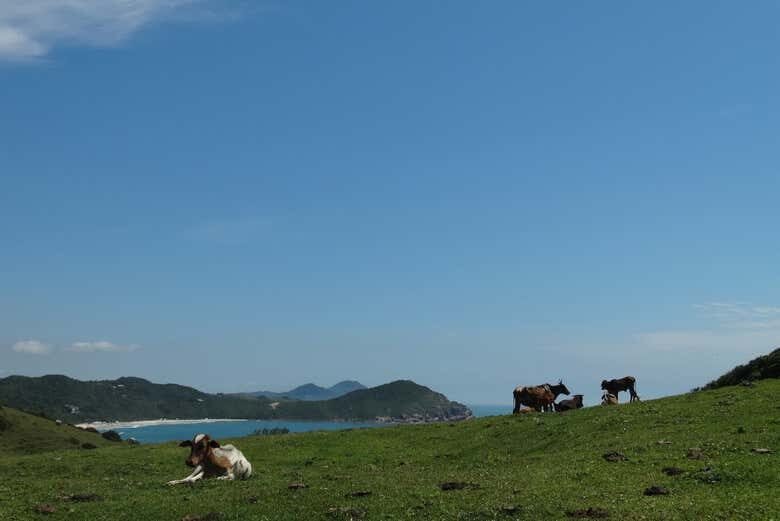 Explore o Caminho do Rei em Imbituba!