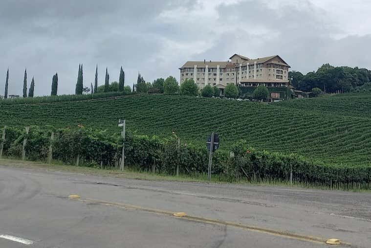 Sabores da Serra: Tour ao Vale dos Vinhedos saindo de Caxias do Sul!