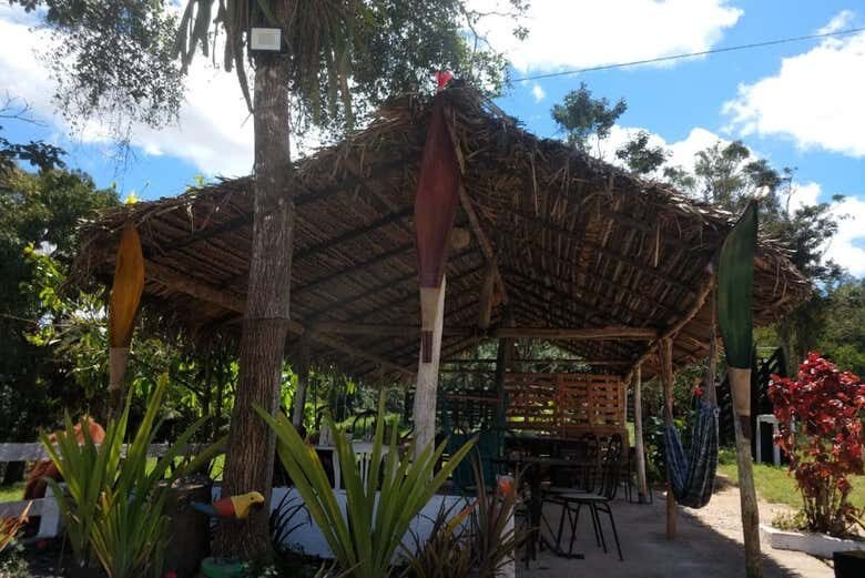 Exploração na Natureza de Alagoas: Excursão a Chã Preta e Serra Lisa!