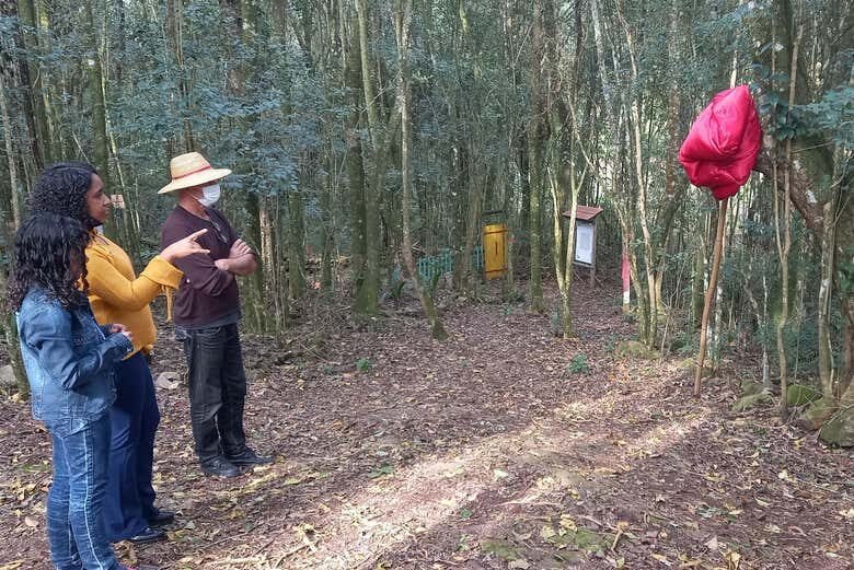 Tour Rural por Flores da Cunha: Natureza e Tradição no RS!