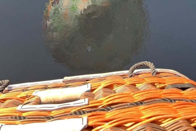 Voo de Balão ao Amanhecer em Campo Largo: Uma Aventura nas Alturas!