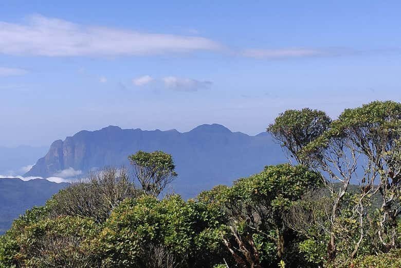 Trilhas em Curitiba: Explore o Morro Pão de Loth ou o Morro Anhangava!