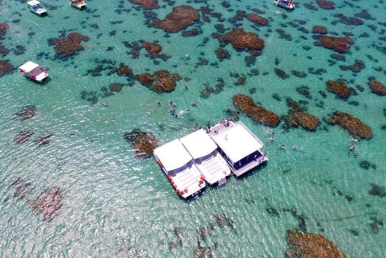 Parrachos de Maracajaú: Catamarã + Snorkel em Águas Cristalinas!