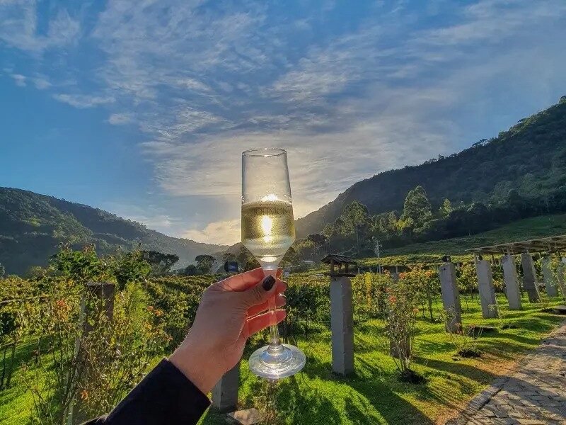 Tour do Vinho com Jolimont, Queijos e Degustações!