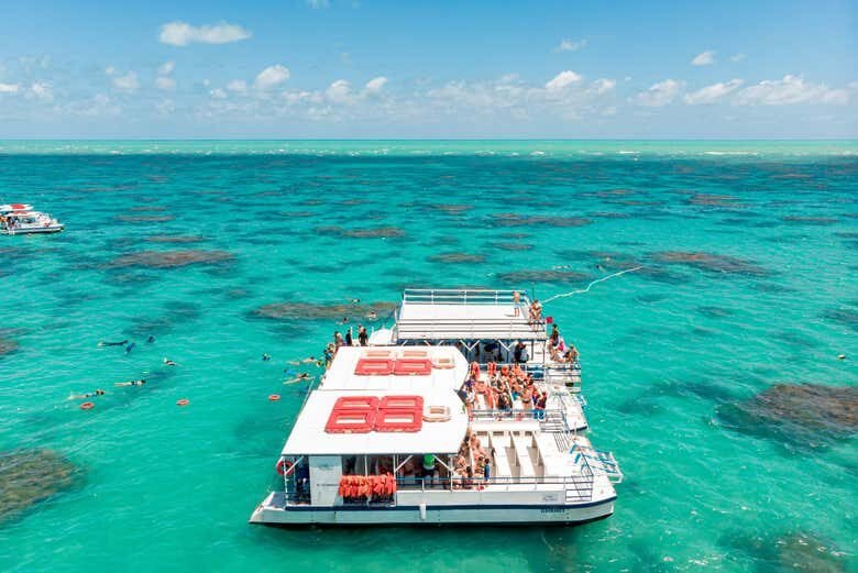 Parrachos de Maracajaú: Catamarã + Snorkel em Águas Cristalinas!