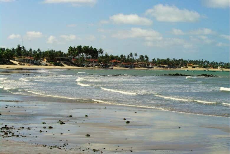 Maracajaú: Snorkel nos Parrachos do Caribe Brasileiro saindo de Natal!