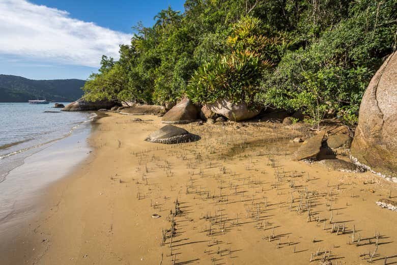 Mamanguá Selvagem: Lancha, Praias e Snorkel no Fiorde Tropical!