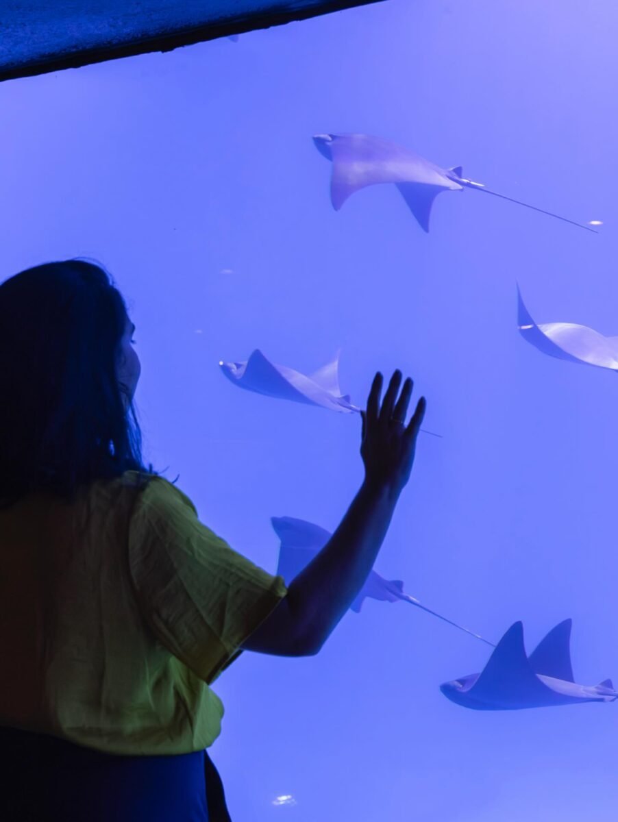 Mergulho no Mundo Subaquático do AquaFoz: Uma Experiência Imersiva em Foz do Iguaçu!