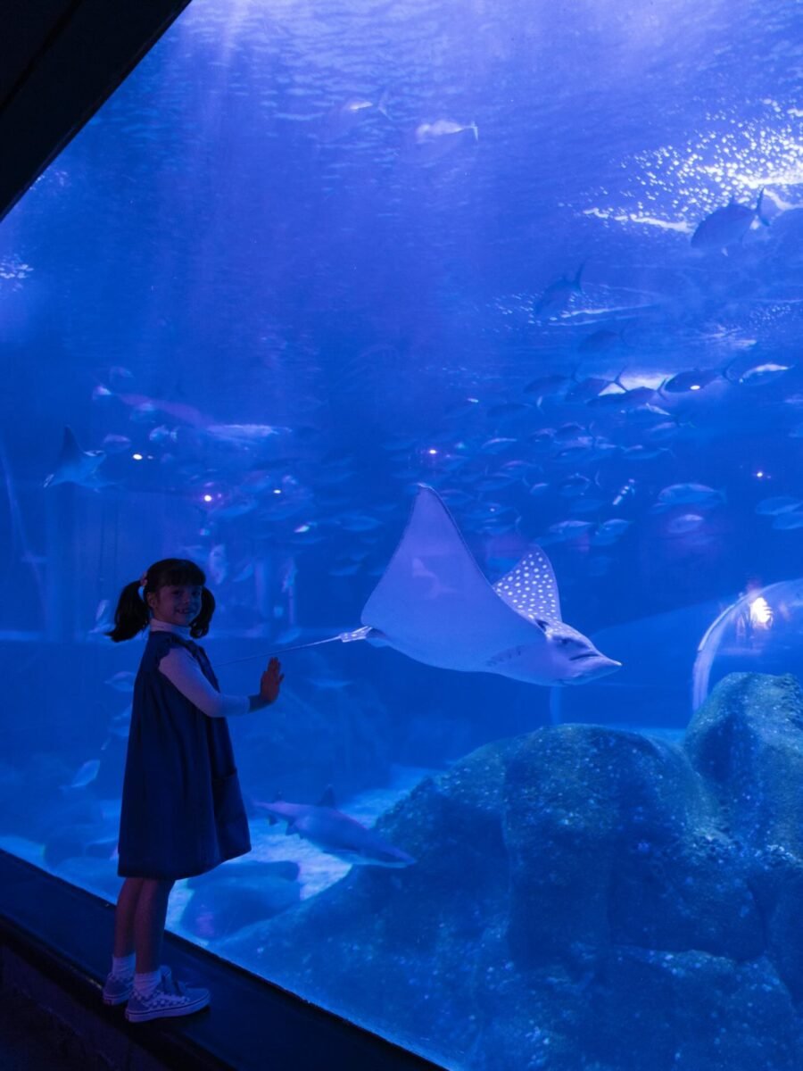 Mergulho no Mundo Subaquático do AquaFoz: Uma Experiência Imersiva em Foz do Iguaçu!