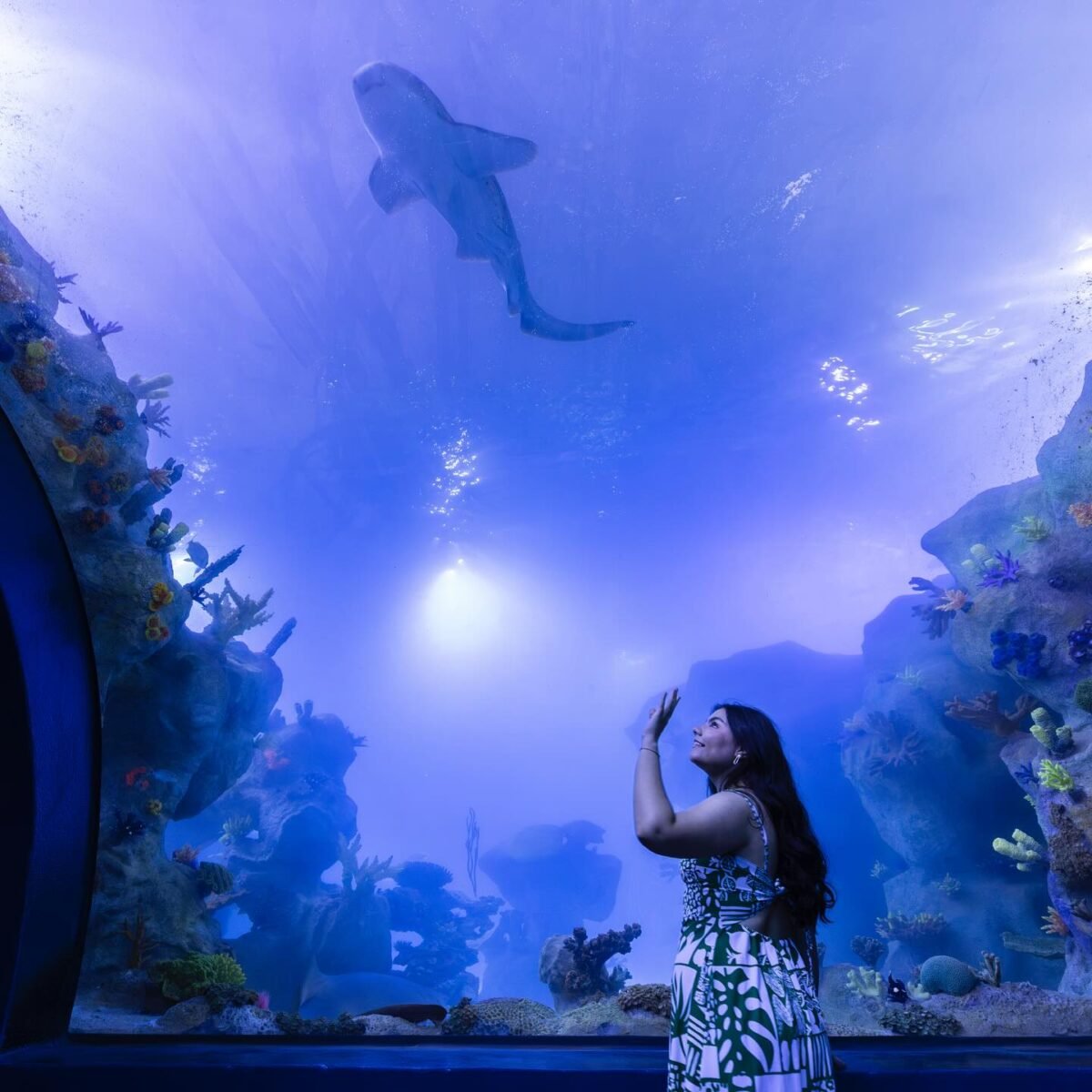 Mergulho no Mundo Subaquático do AquaFoz: Uma Experiência Imersiva em Foz do Iguaçu!