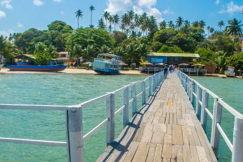 Paraíso Tropical em Barra do Cunhaú: Praias, Rio e Passeio de Barco!