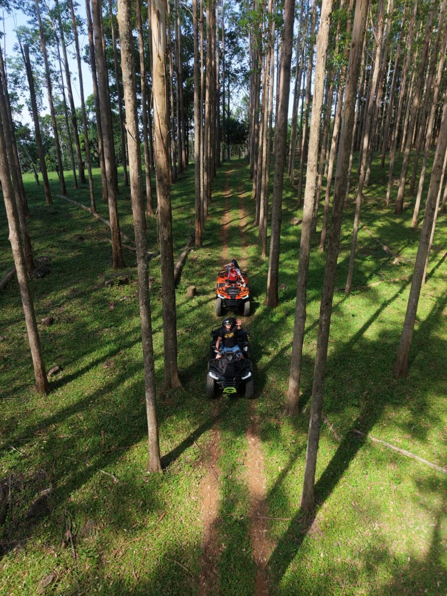 Aventura de Quadriciclo: Explore Trilhas, Cânions e Cachoeiras!