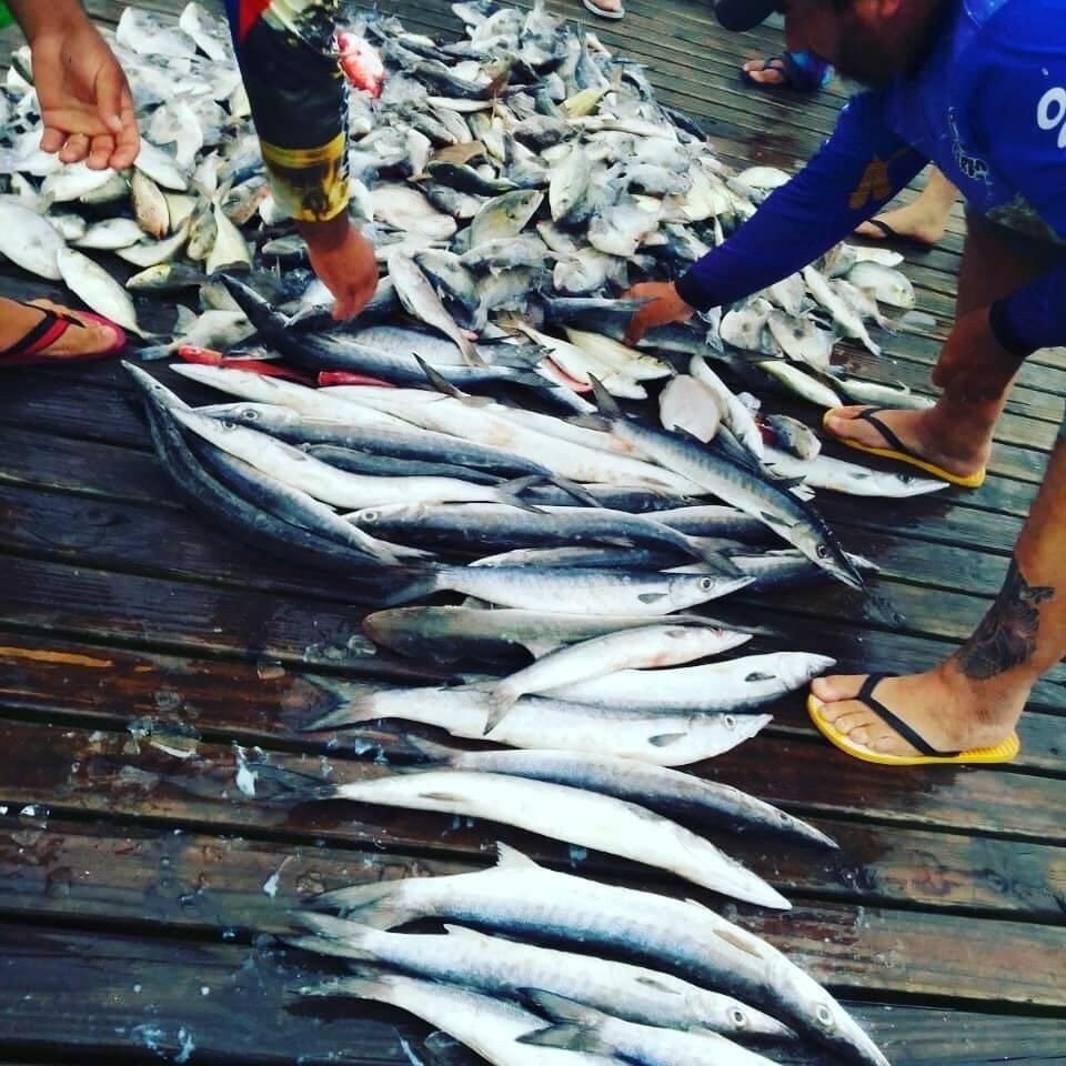 Pescaria em Alto Mar em Bombinhas: Aventura Completa no Oceano!